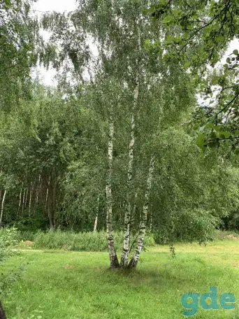 Продам Дом, д.Красное, Шкловский район, фотография 10