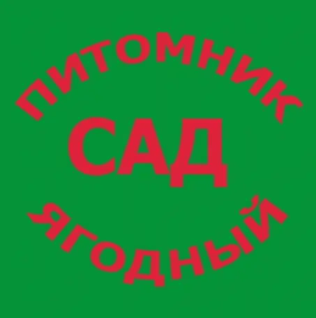 САЖЕНЦЫ КЛУБНИКИ - 50 сортов  - купить в Гомеле с питомника, фотография 13