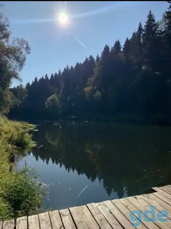 Дом на сутки у реки Витебск. Живописное место, фотография 4