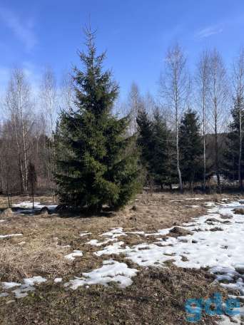 Участок Ушачский р д.Пряники СТ Дружба, фотография 11