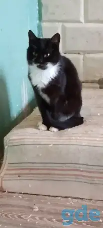 Мюнхаузен, фотография 1