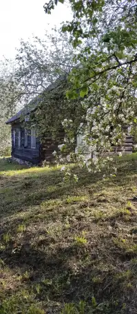 Лагуна в реки Березина, Свислочь ул. Березинская 3, фотография 1