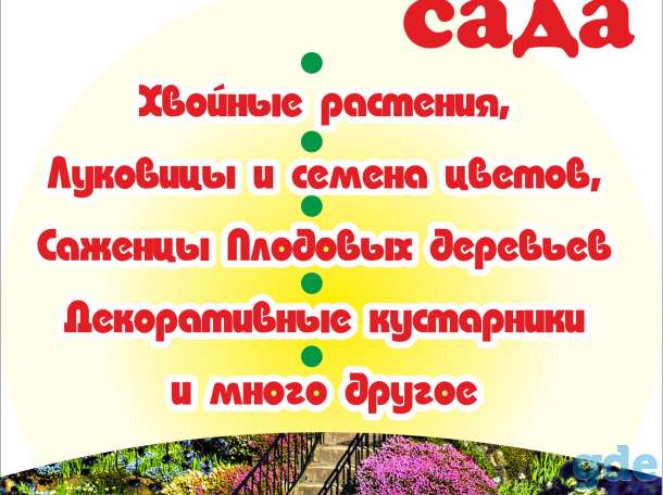 Семена овощей и цветов, саженцы в Минске, фотография 1