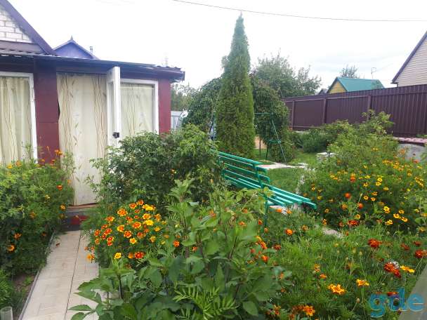 Продам дачу в г.Витебск, фотография 4