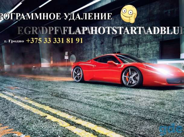 Программное удаление EGR DPF FAP FLAP LAMBDA HOTSTART ADBLUE MAF, фотография 1