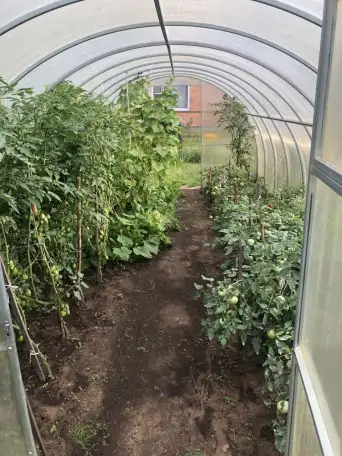 Продам земельный участок, Жемчужненский с/с, Барановичский р-н, Брестская обл. Ж/д Полонка, фотография 3