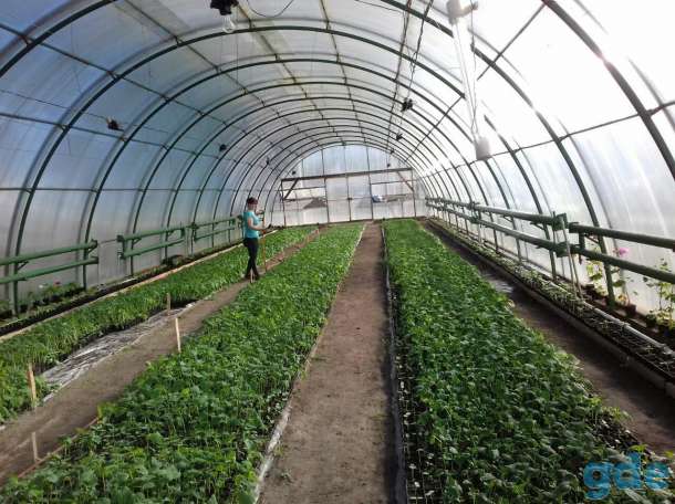 Продажа недвижимости, Гомельская обл., р-н, Новоселковский с\с, 8., фотография 4