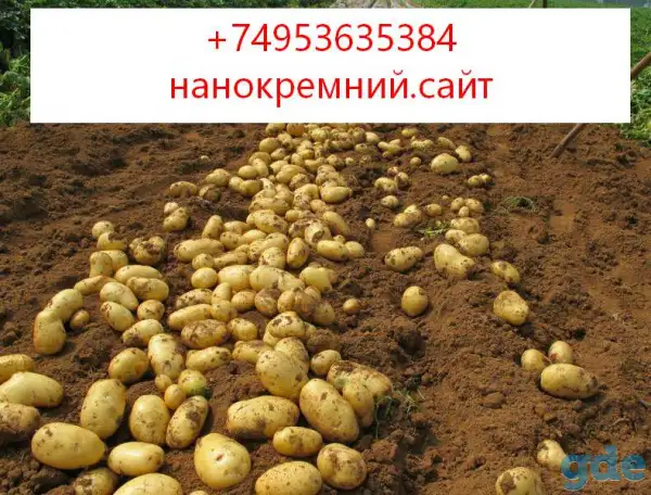 СИЛА КРЕМНИЯ - Бренд №1 среди удобрений на основе кремния, фотография 1