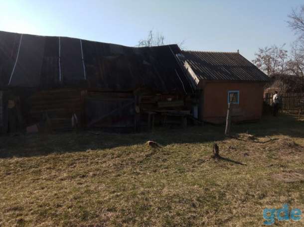ОЧЕНЬ ВЫГОДНО от собственника ДВА ДОМА на большом участке, фотография 6