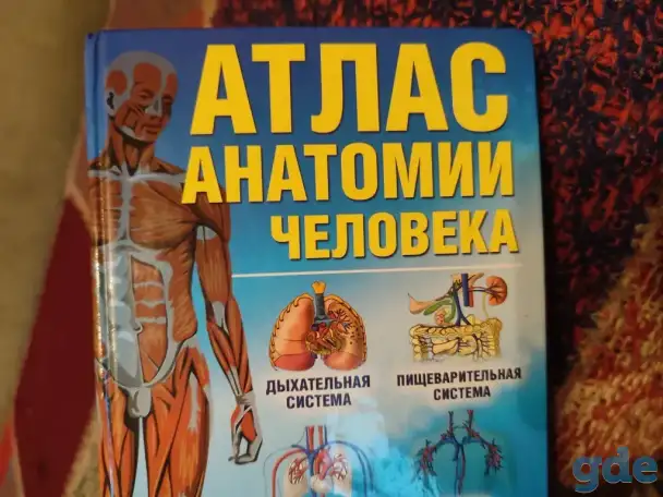 Учебник по анатомии и физиологии для медицинских вузов, фотография 6