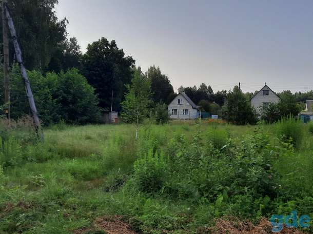 Участок в СТ ТрудМЗАЛ пуховичский р-н  4.7 соток, фотография 2
