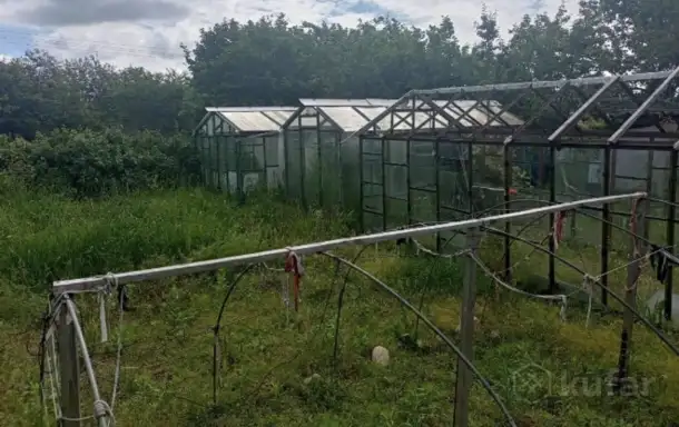 Продам дачный участок в 7 км от Ольшанки Гродно, фотография 10