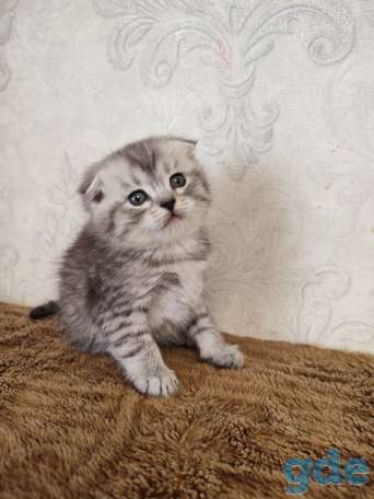 Продаю, фотография 2