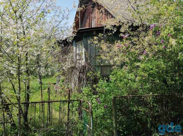 продам дачу, Гомельская область, Речицкий район, сад. тов. 