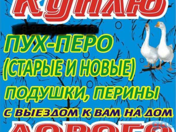 ПРОИЗВОДИМ ПРИЁМ СВЫЕЗДОМ НА ДОМ ПУХА-ПЕРА-ПОДУШКИ-ПЕРИНЫ-новые-б/у (и закупка рогов оленя и лося ), фотография 2