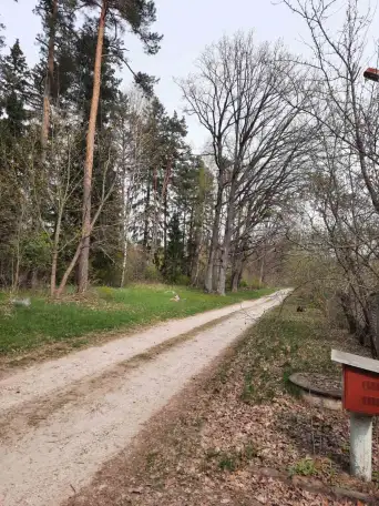 Жилой дом в д.Черёмушки, ул.Дачная, 5, фотография 3