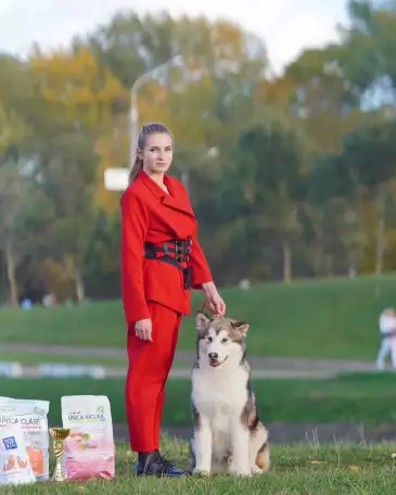 Хендлер в Минске, фотография 4