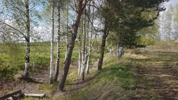 Продам сдам в аренду участок с домом в 14 км от Витебска, фотография 2