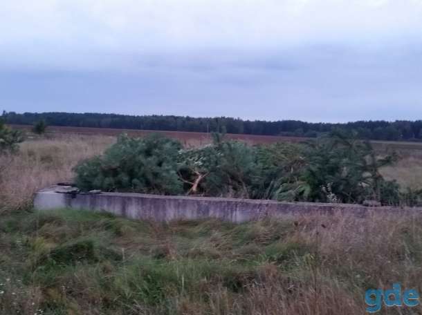 Участок в Малых Радваничах, фотография 3