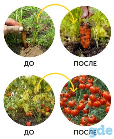 Биоудобрение AgroMax, фотография 2