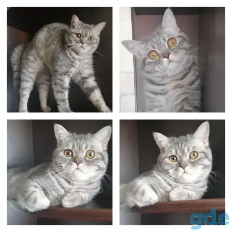Нашлась!, фотография 1