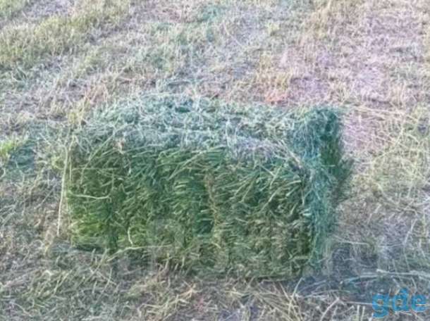 Сено в тюках и мешках, фотография 2