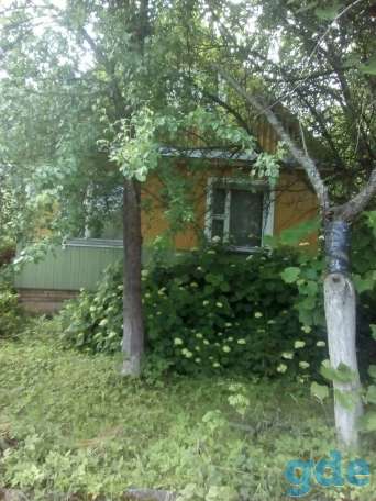 Дача сдаётся. Деревня Петришки Минского района, фотография 1