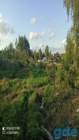 Дачный участок, Петушки Новики, фотография 7