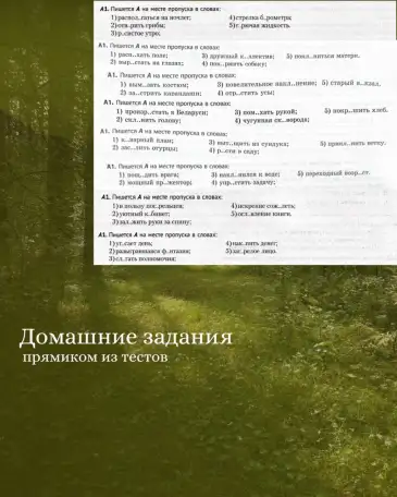 Русский язык ЦТ/ЦЭ Онлайн, фотография 5