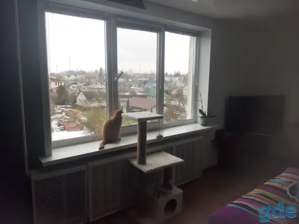 Продам, р-н, пос. Юбилейный, ул. Полевая, д. 3А, фотография 7