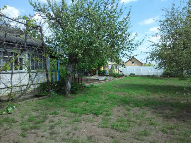 Продается дача, с.т. Подшипник, фотография 9