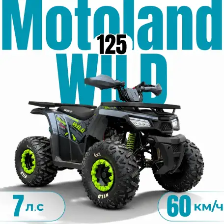 Квадроцикл ATV Motoland Wild 125 без ПТС (к-т з/ч), фотография 1