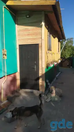 Строительство террас, беседок, веранд в Гомеле и Гомельской области., фотография 13