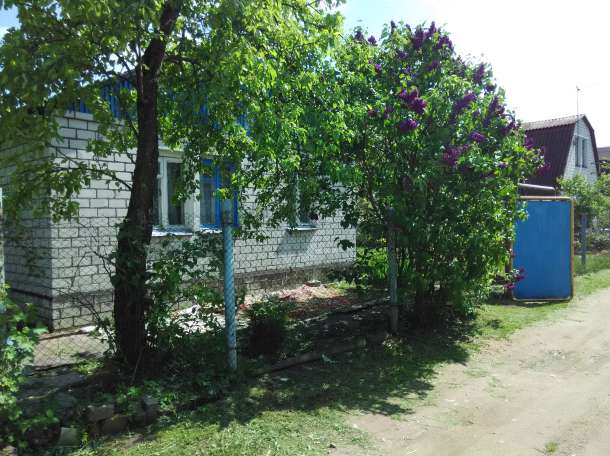 Продается дача, с.т. Подшипник, фотография 1