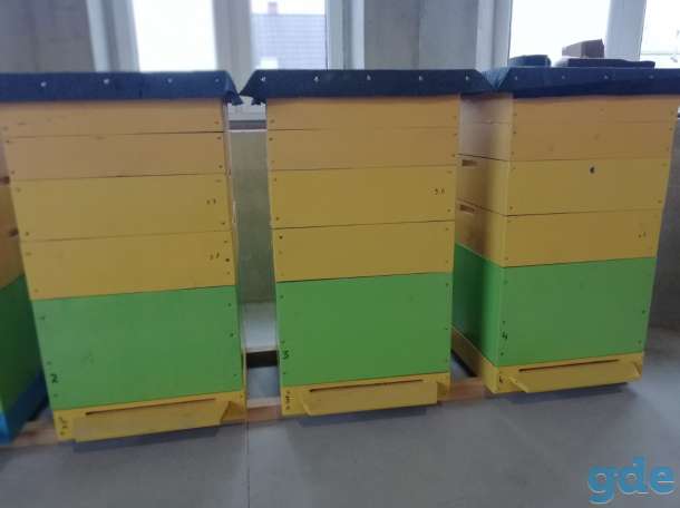 Продам ульи, фотография 1