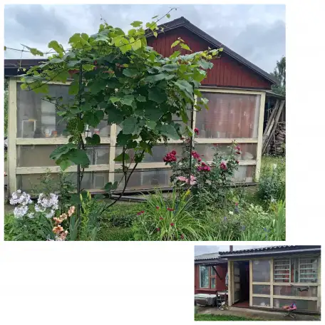 Продам дачу, СТ Добосна, фотография 2