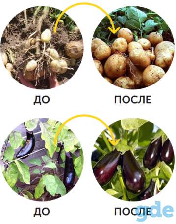 Биоудобрение AgroMax, фотография 3