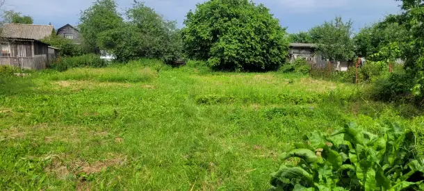 Продам садовый участок. Минская область,  Дзержинский район, фотография 5