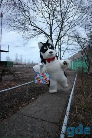 Поздравление в Гомеле и Гомельской области, фотография 1