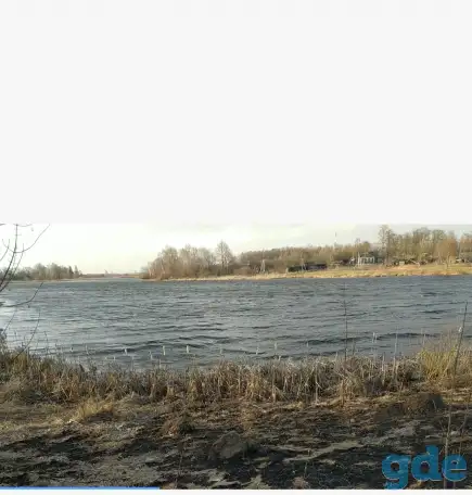 Дом на берегу реки в агрогородке Туча, фотография 3