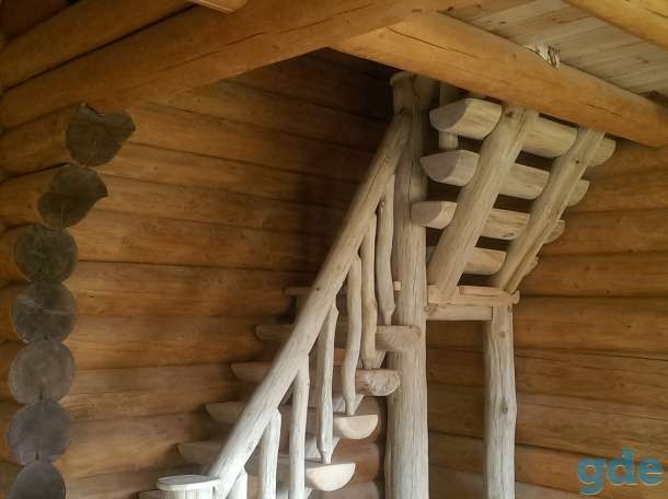 Деревянные дома (бани,беседки) срубы из круглого бревна рубленные вручную из ангарской сосны, сибирского кедра., фотография 11