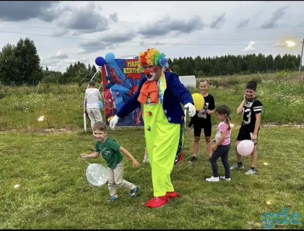 Весёлые клоуны на ваш праздник., фотография 4