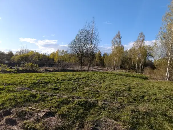 Продам участок земли на берегу озера, Поставский район, фотография 3