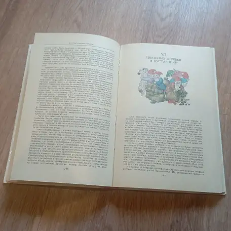 Книга Целебные кладовые природы (Минск, 1979 год), фотография 3