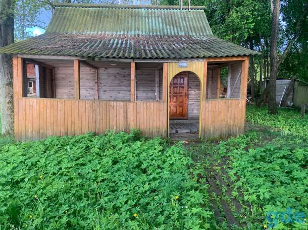 Отдых на озере Рафолово, фотография 3
