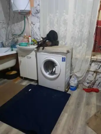 Мой  Котик пригласит Невесту на Вязку, фотография 7