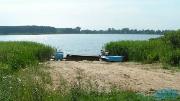 прекрасный участок на берегу озера Городно, Озёрная ул, 13, деревня Городнянский Мох, Новкинский сельсовет, район,, фотография 11