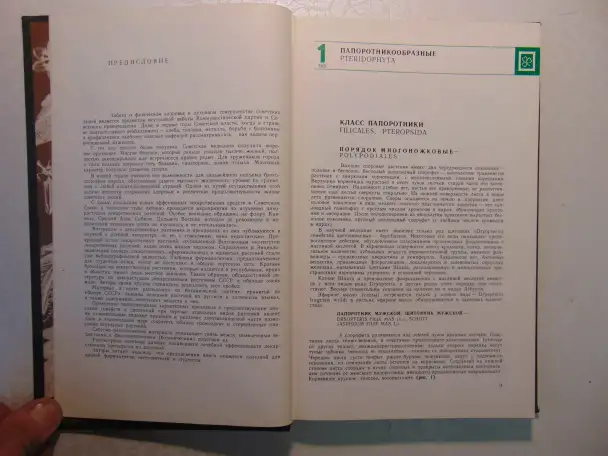 Дикорастущие лекарственные растения СССР..И. Гром, Москва, Медицина, 1976 год, 288 страниц, 153 рисунка., фотография 6
