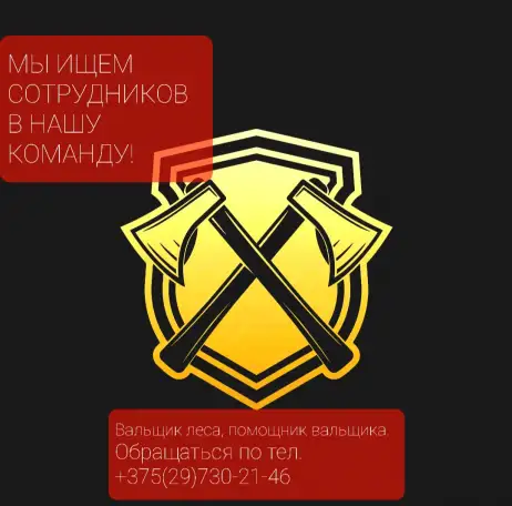 Вальщик леса, лесоруб, бригада., фотография 1