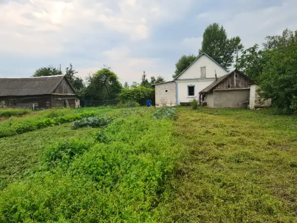 Дом и участок 25 соток возле Слуцка, фотография 10